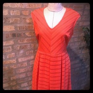Sandra Darren eyelet dress.